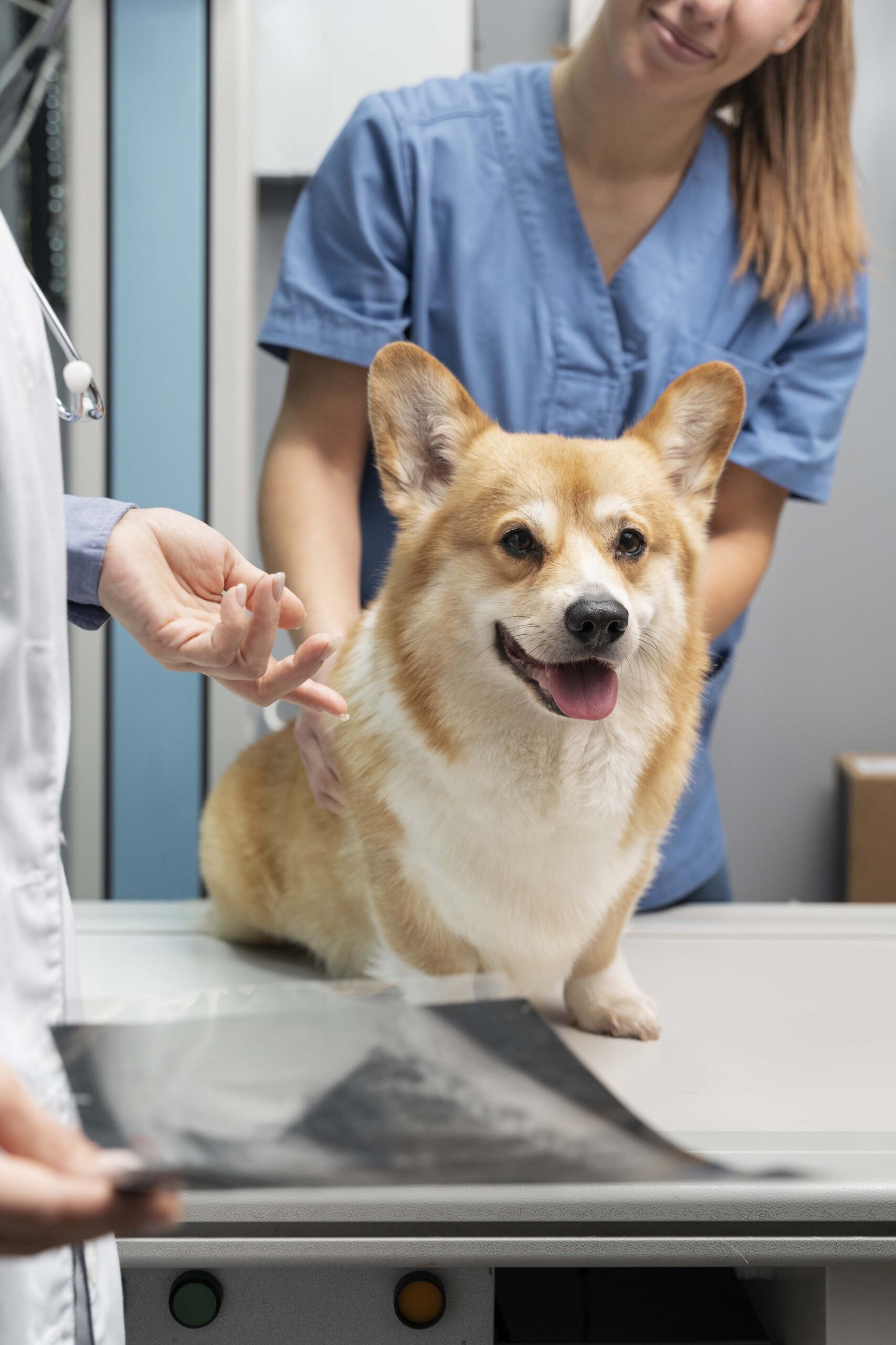diagnostics-service diagnostics-service